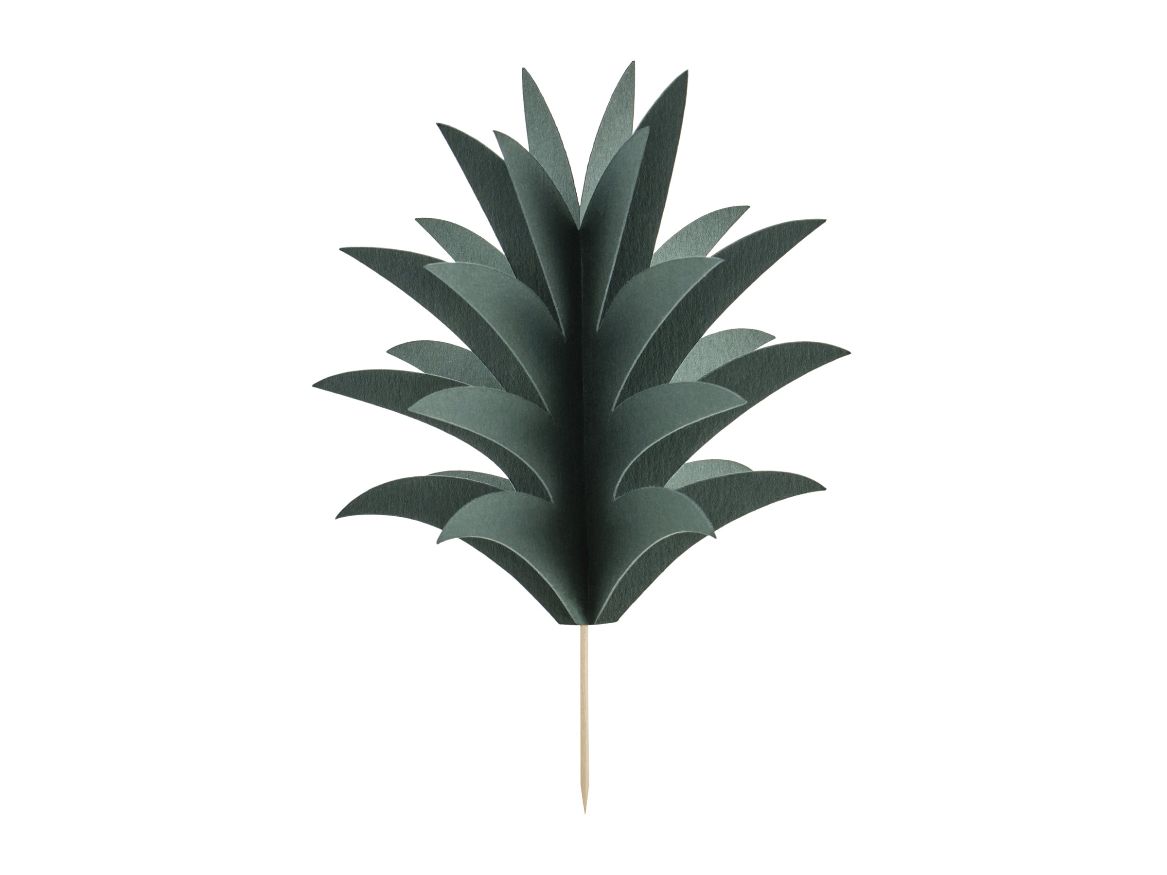 6 piques  ananas - Aloha Collection