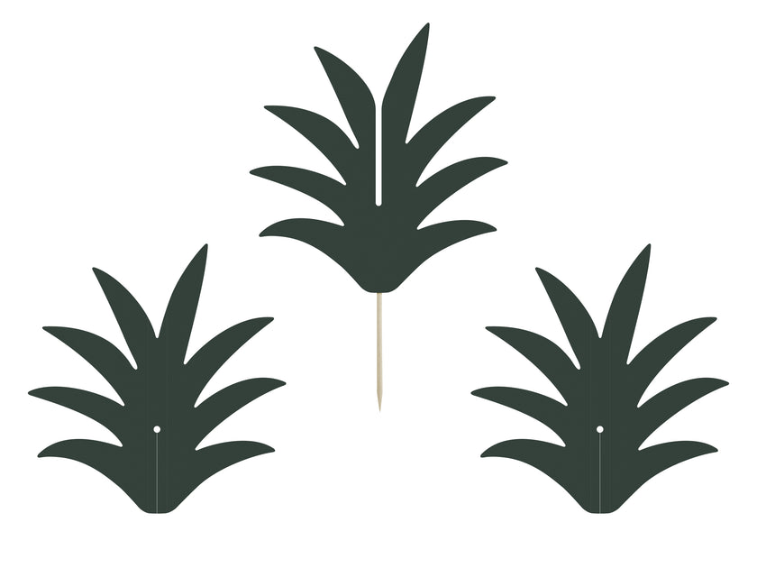 6 piques  ananas - Aloha Collection