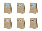 6 sachets en papier Kraft avec stickers - Woodland