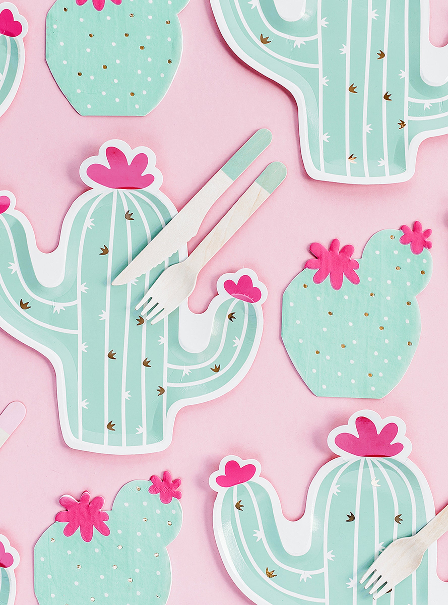 6 assiettes cactus (23 cm) - lama Party