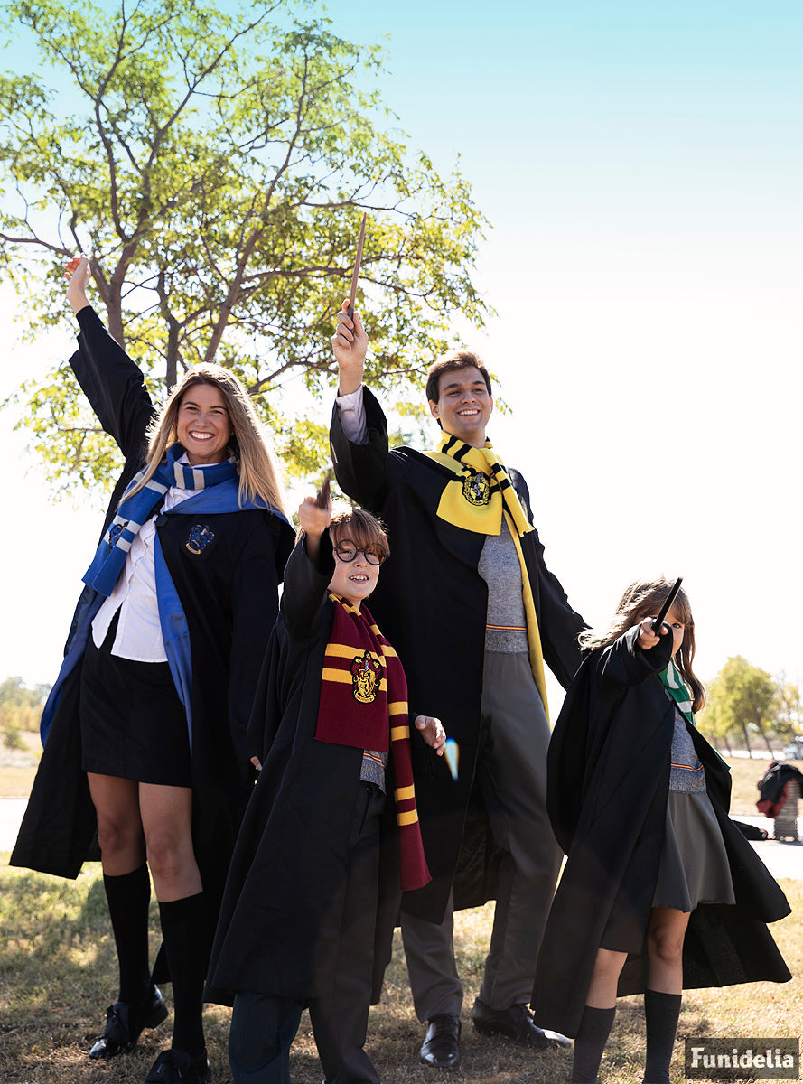 Écharpe Poufsouffle Harry Potter