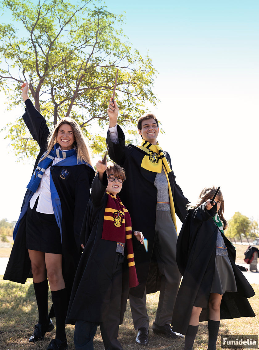 Écharpe Poufsouffle Harry Potter