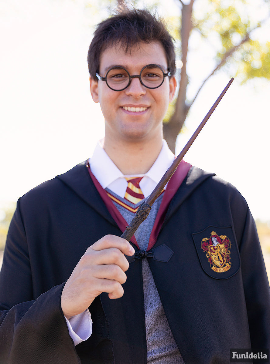 Déguisement Harry Potter pour adulte