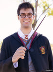 Déguisement Harry Potter pour adulte