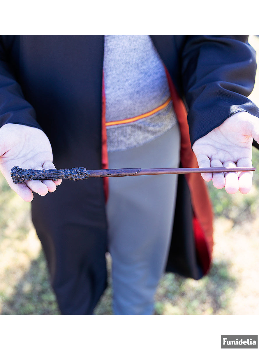 Déguisement Harry Potter pour adulte