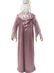 Déguisement Dumbledore Harry Potter