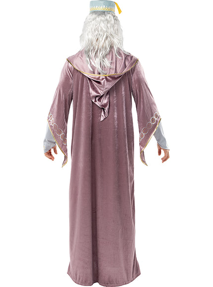 Déguisement Dumbledore Harry Potter
