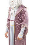 Déguisement Dumbledore Harry Potter