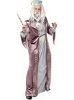 Déguisement Dumbledore Harry Potter