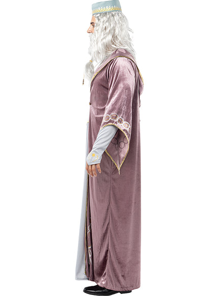 Déguisement Dumbledore Harry Potter