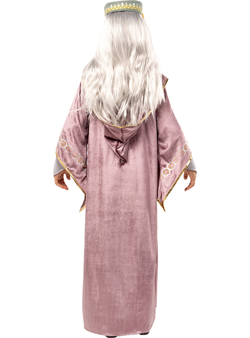 Déguisement de Dumbledore Harry Potter pour enfants