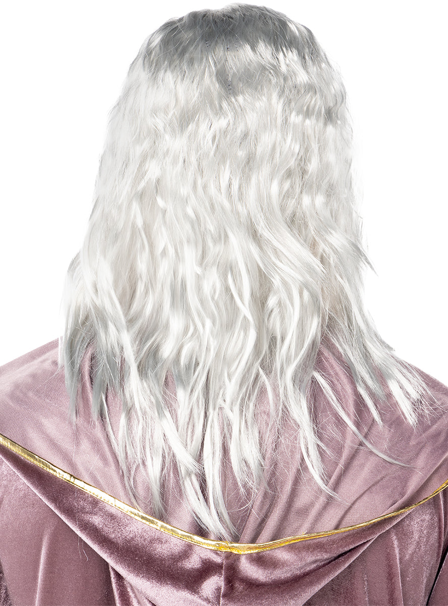 Perruque de Dumbledore avec barbe
