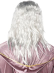 Perruque de Dumbledore avec barbe