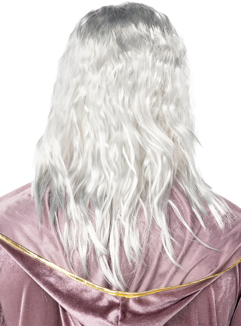 Perruque de Dumbledore avec barbe