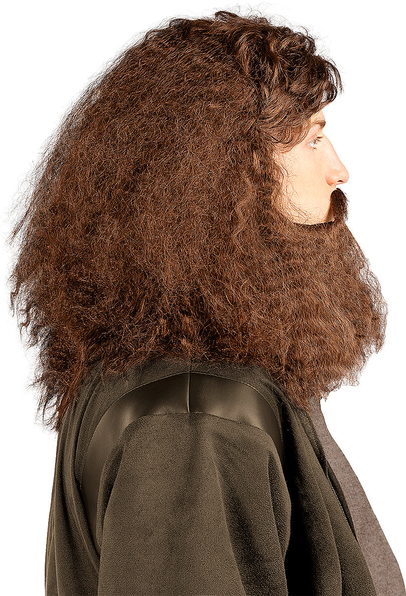 Perruque Hagrid avec barbe