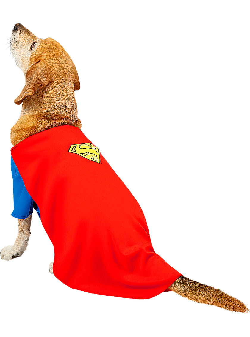 Déguisement Superman pour chien