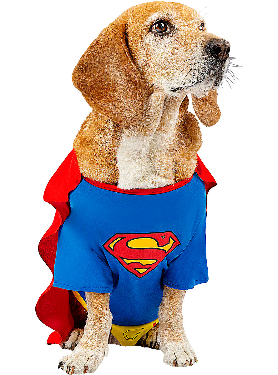 Déguisement Superman pour chien