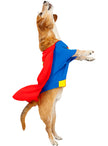 Déguisement Superman pour chien