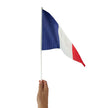 Drapeau france 30x45cm 2