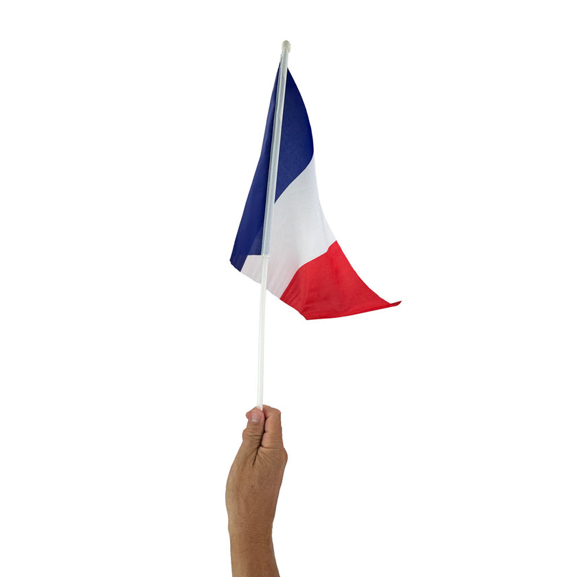 Drapeau france 30x45cm 1