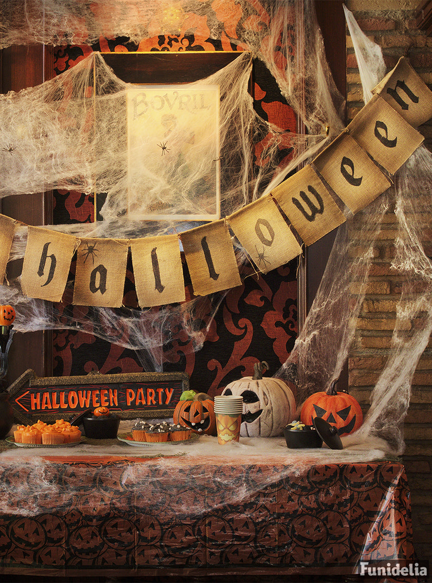 Sachet toile d'araignées 250gr