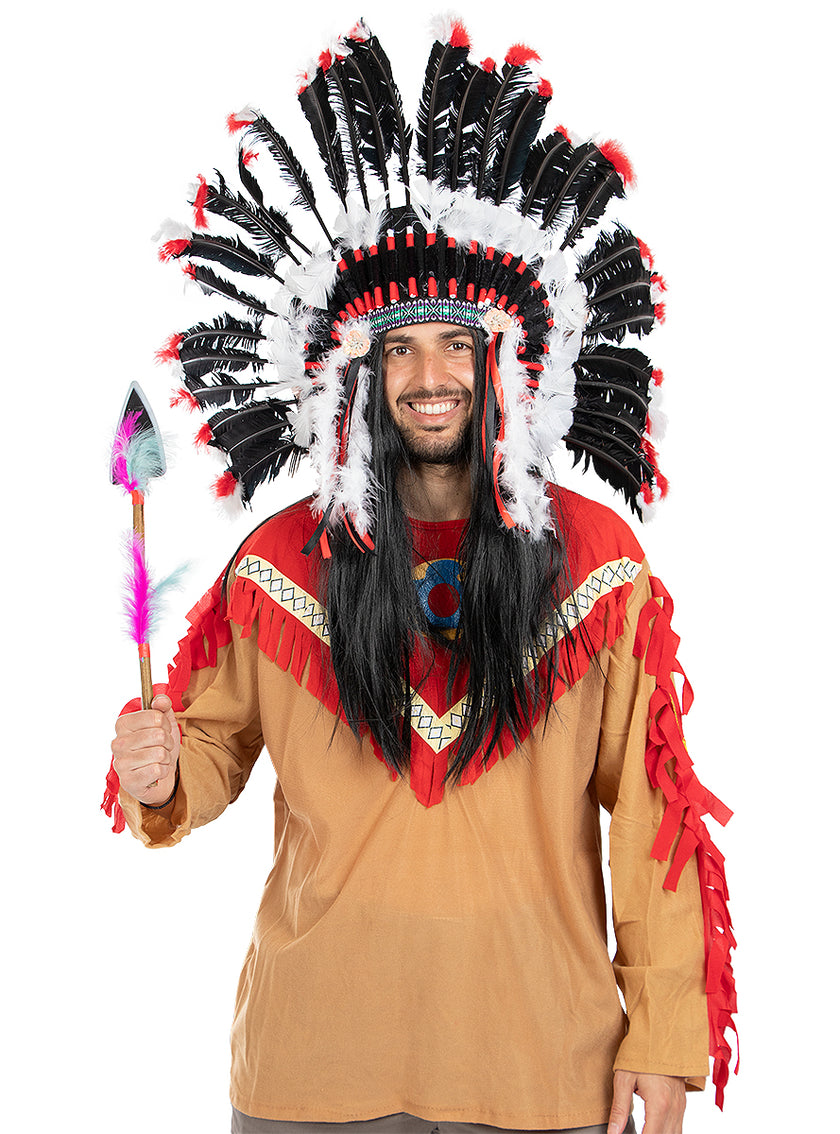 Lance dindien avec plumes