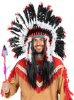 Lance dindien avec plumes