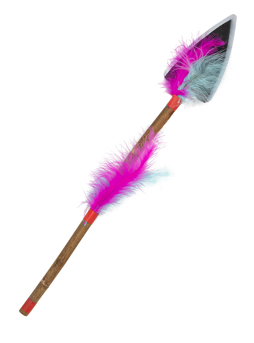 Lance dindien avec plumes