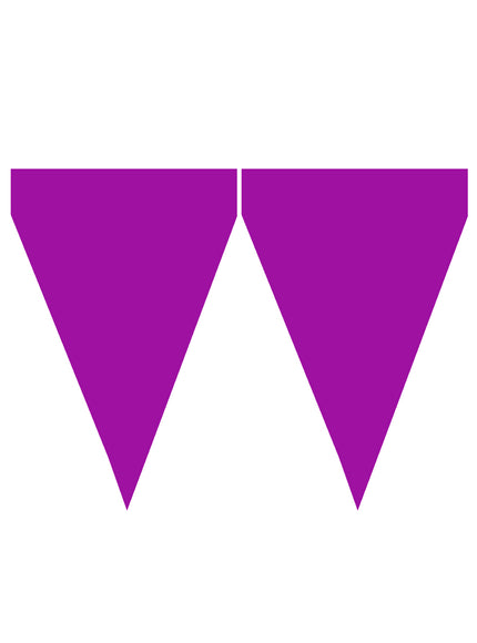 Guirlande à fanions violets - Gamme couleur unie