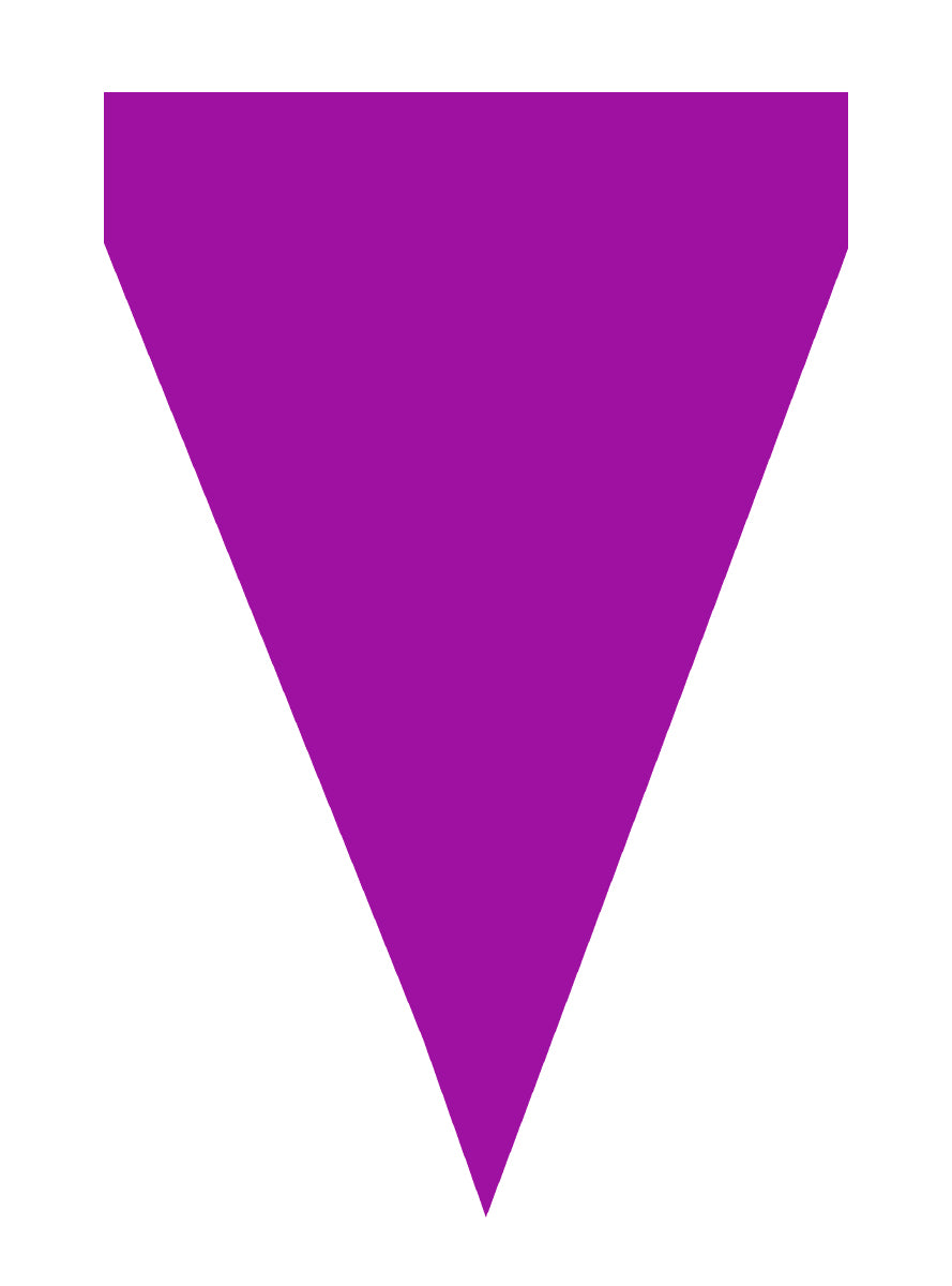 Guirlande à fanions violets - Gamme couleur unie