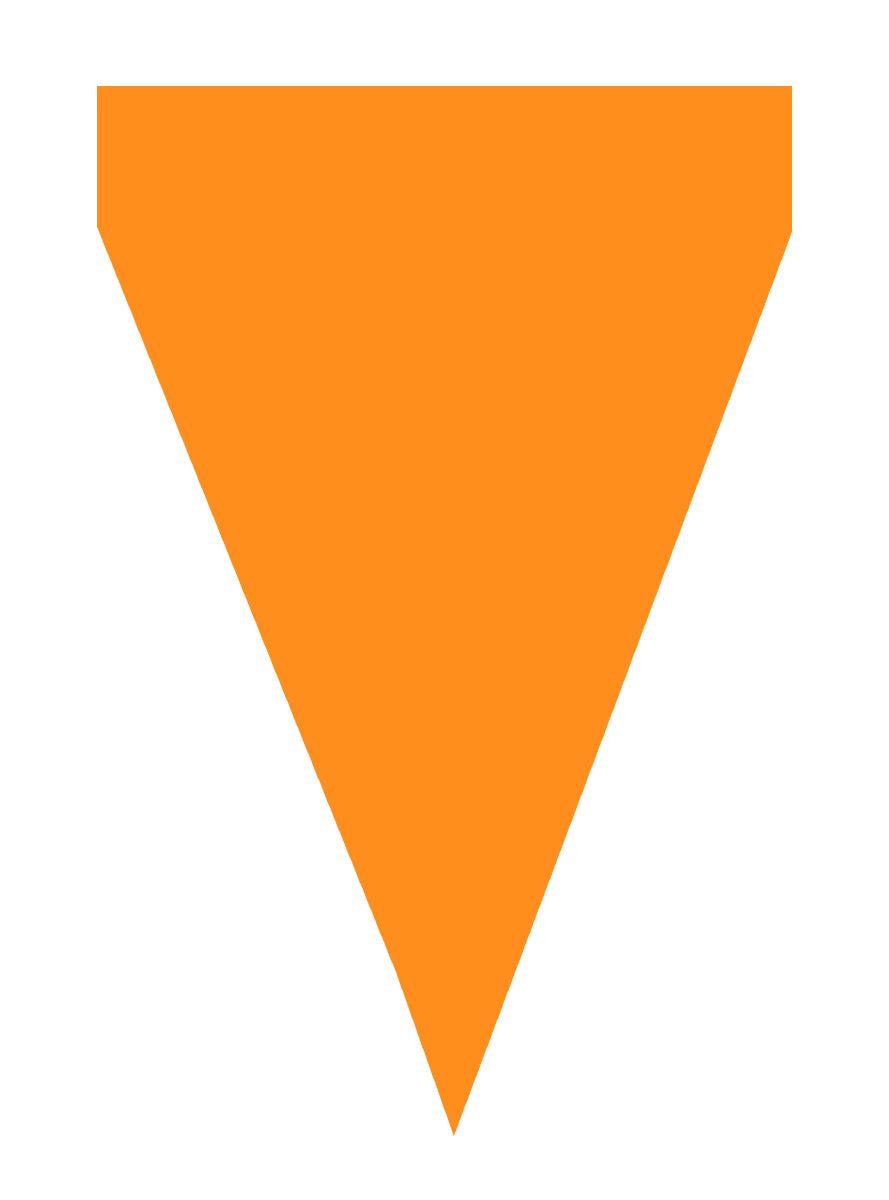 Guirlande à fanions orange - Gamme couleur unie