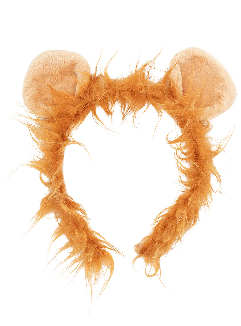 Set accessoires lion