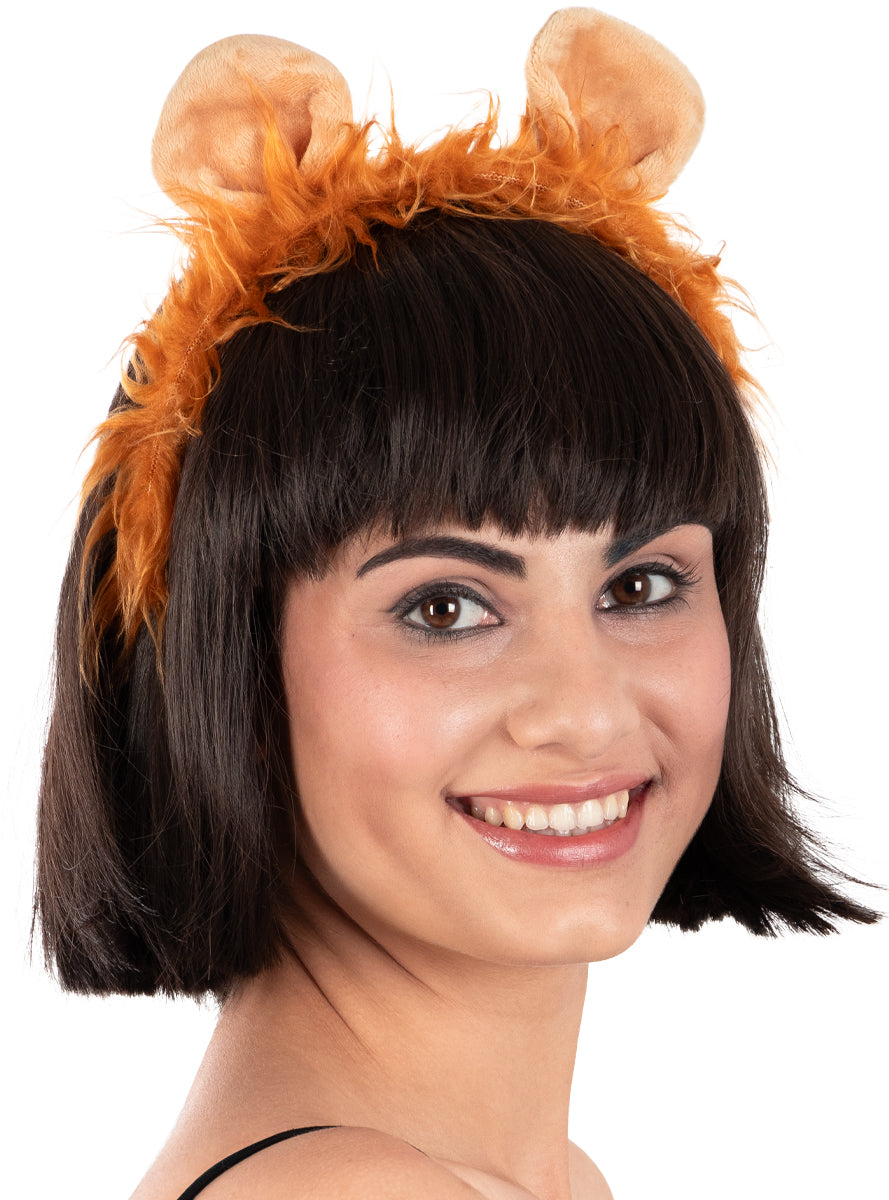 Set accessoires lion