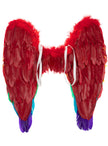 Ailes arc-en-ciel multicolores