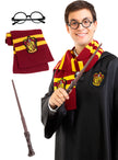 Kit accessoires Harry Potter adulte