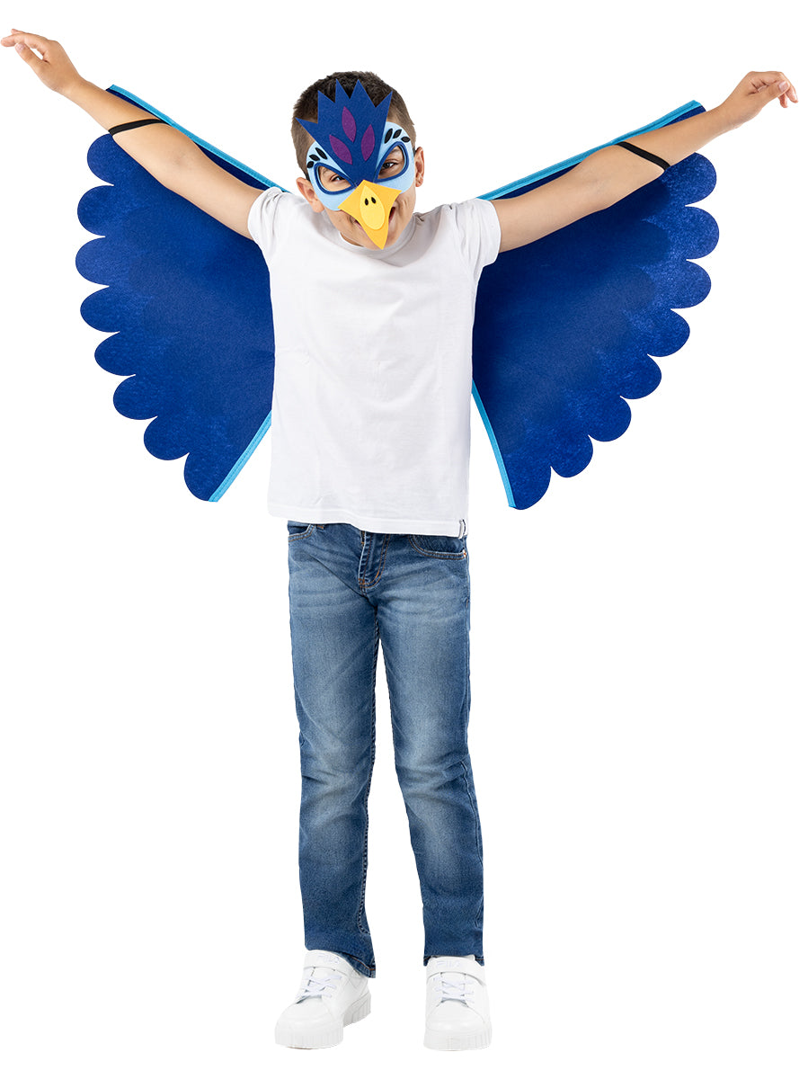 Costume dailes doiseau pour enfant