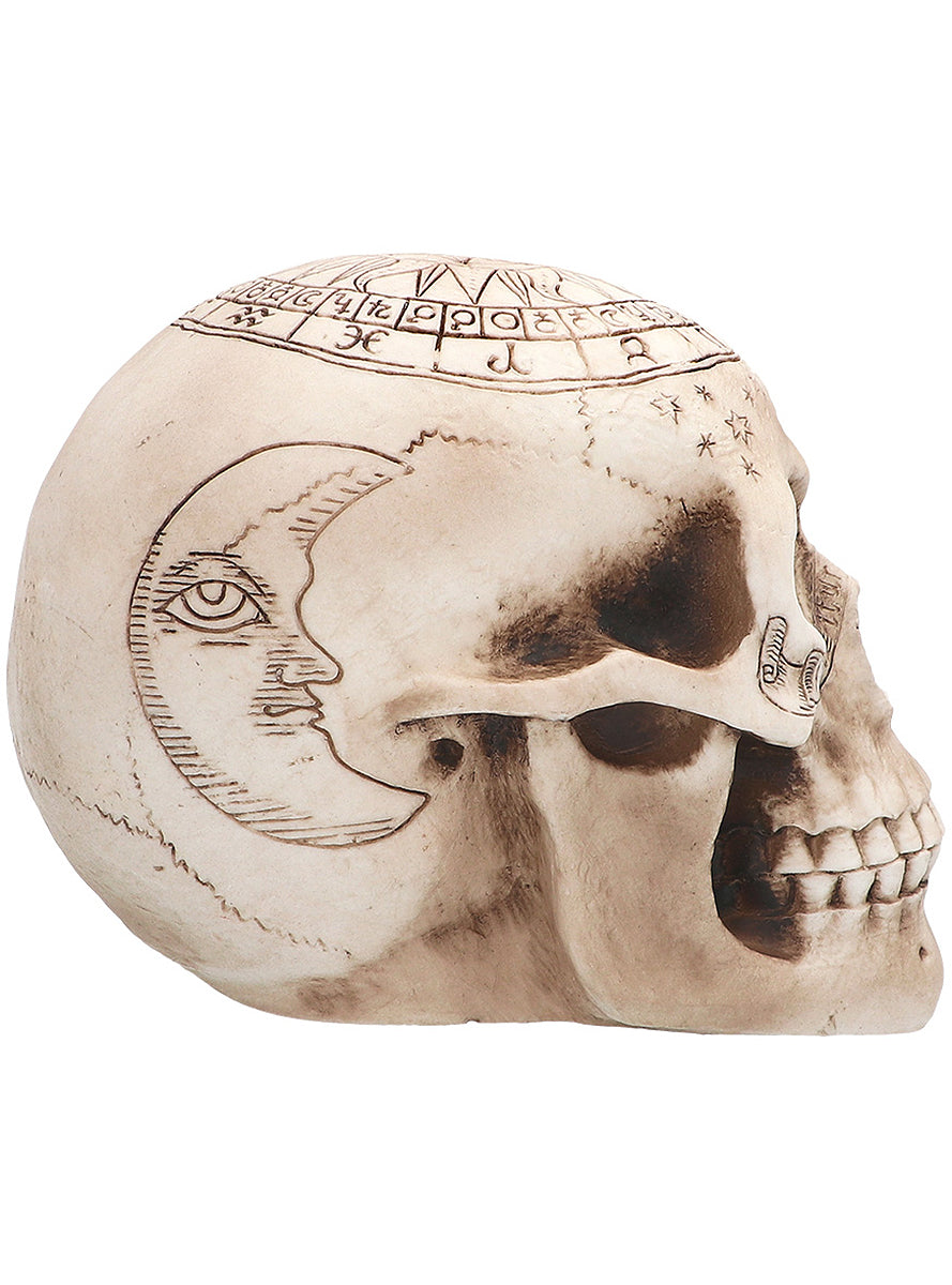 Figurine squelette astronomie