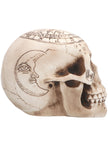 Figurine squelette astronomie