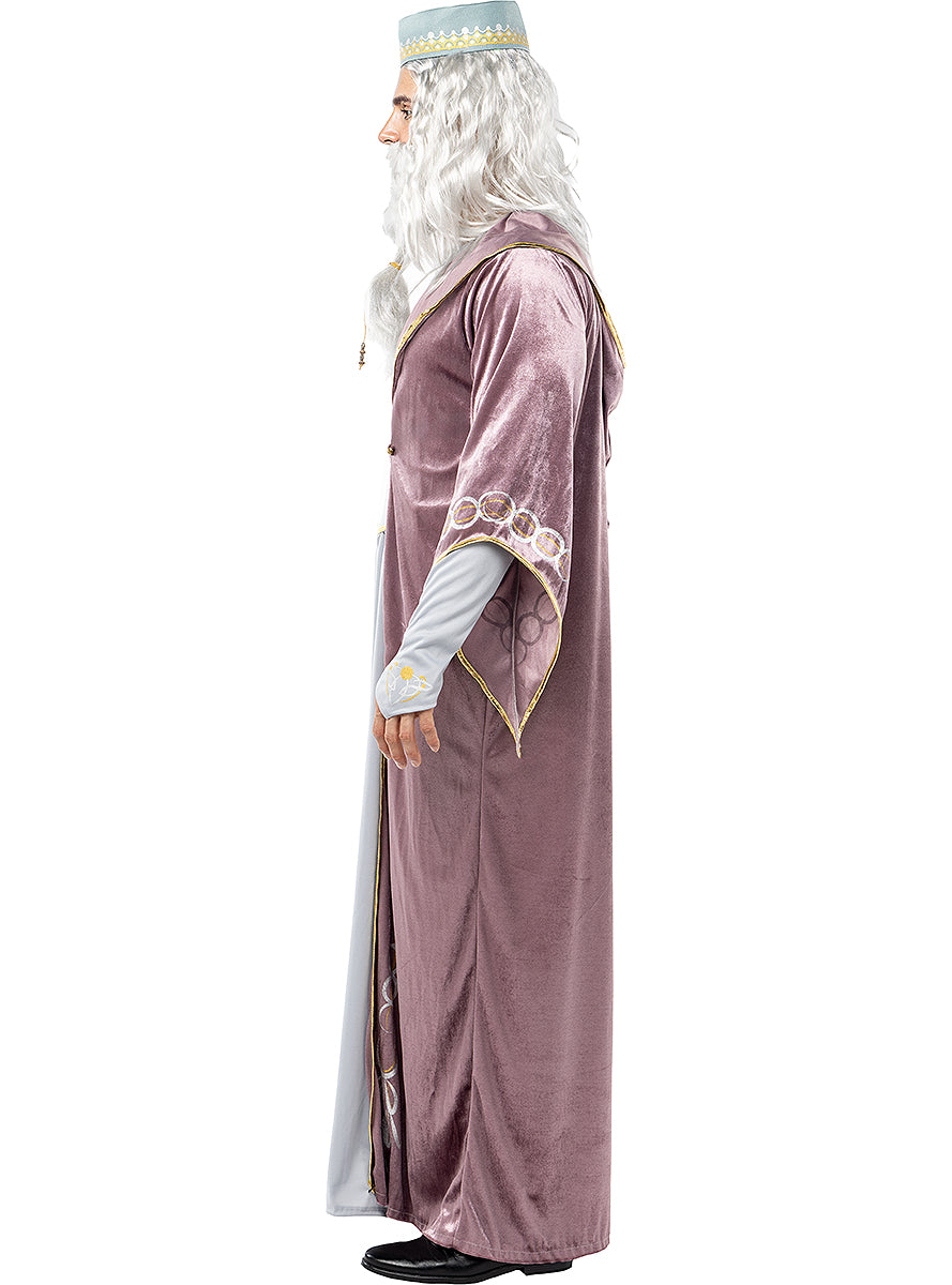 Déguisement Dumbledore Harry Potter taille grande