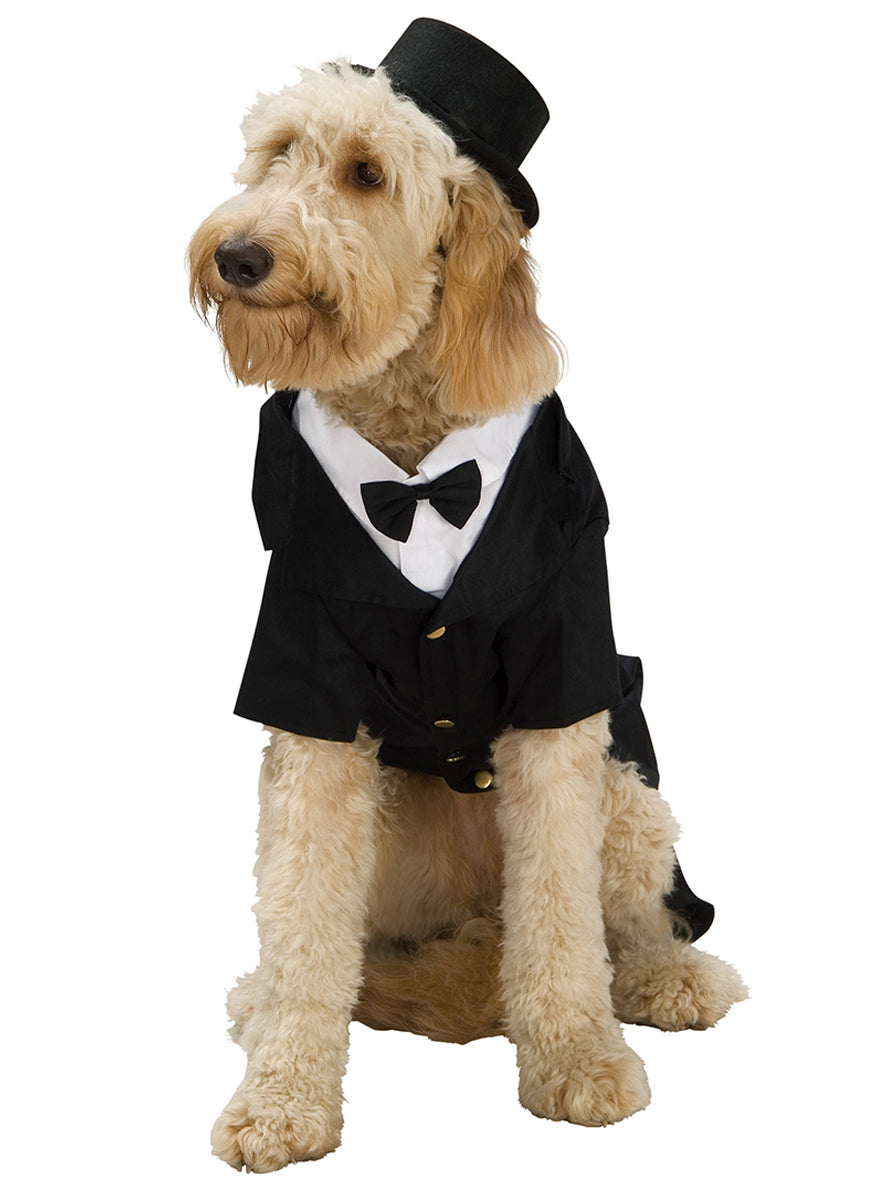 Déguisement de chien avec smoking