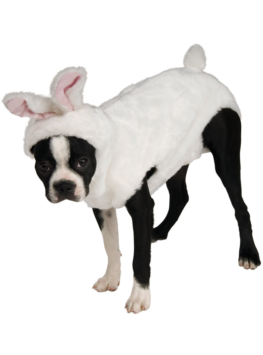 Déguisement de lapin pour chien