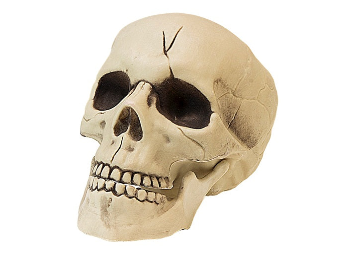 crne avec machoire mobile 21cm
