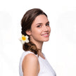 Pince a cheveux hawai 1
