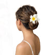 Pince a cheveux hawai 2