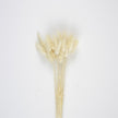 SET DE 30 BUNNY TAILS BLANC NATUREL