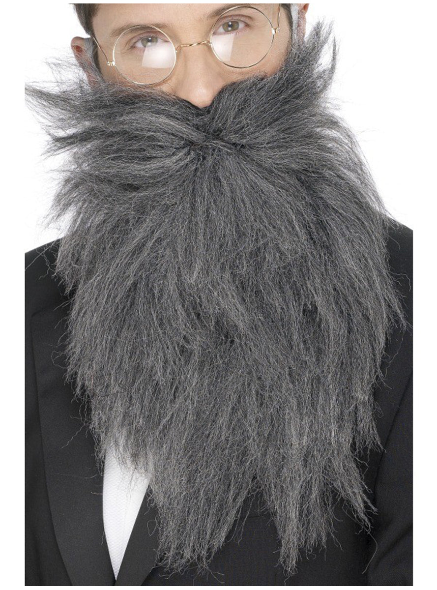 Longue Barbe et moustache grise
