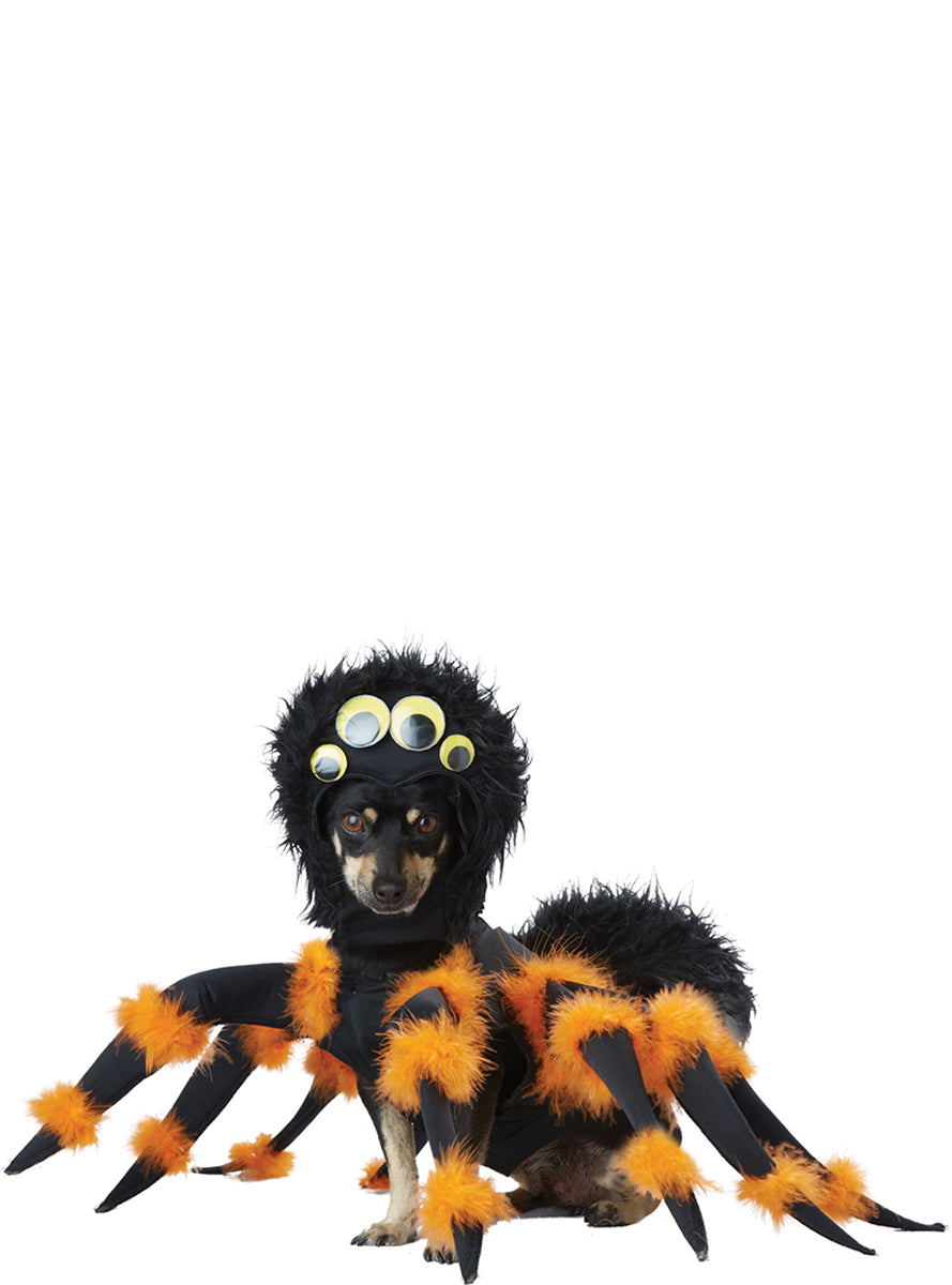 Déguisement terrifiante araignée chien