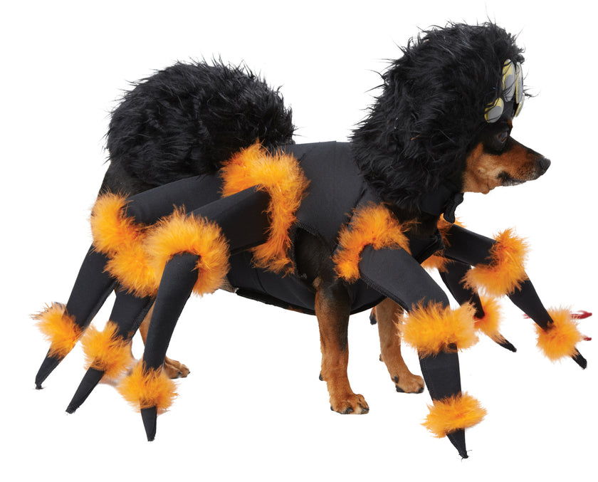 Déguisement terrifiante araignée chien