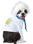 Déguisement Einstein pour chien