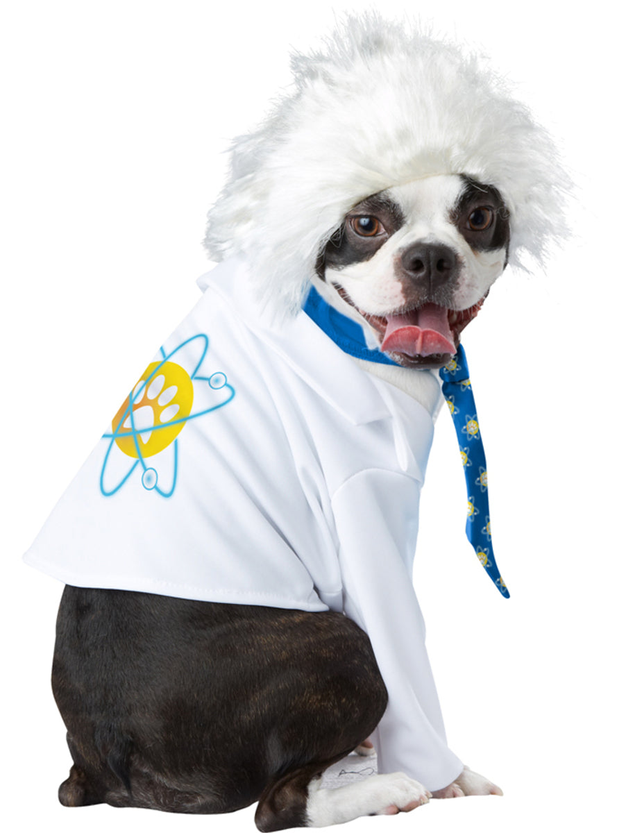 Déguisement Einstein pour chien